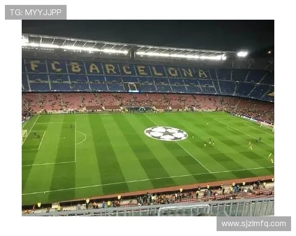 探寻绿茵巨星成长之路与球场荣耀背后那些鲜为人知的精彩故事瞬间