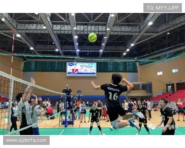 从零起步掌握排球战术全解析助你成为场上高手