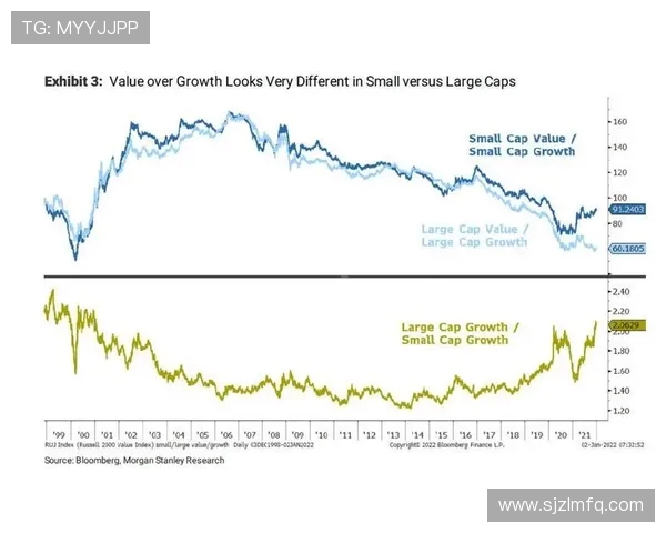 深入分析TES战队的防守策略与战术布局