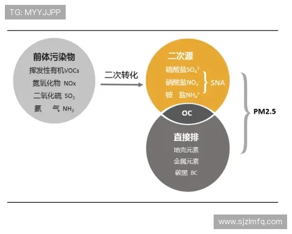深圳羽毛球队战术解析:从技术细节到比赛策略的全面探讨 深圳羽毛球队战术解析:从技术细节到比赛策略的全面探讨