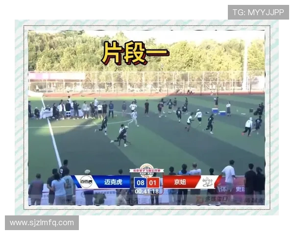 赛后分析：北京飞盘队与杭州飞盘队的实力对决与战术探讨