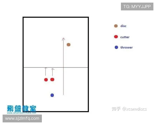 飞盘新手必看：提升场上意识的实用技巧与策略分享